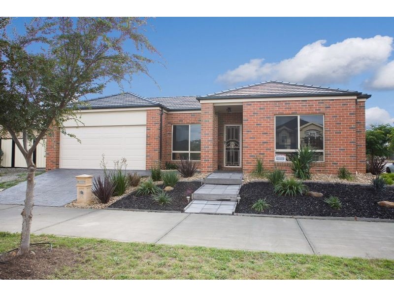 73 Bellfield Drive, Craigieburn VIC 3064