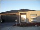 13 Wyperfield Avenue, Craigieburn VIC 3064