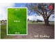 104 Charteris Drive, Craigieburn VIC 3064