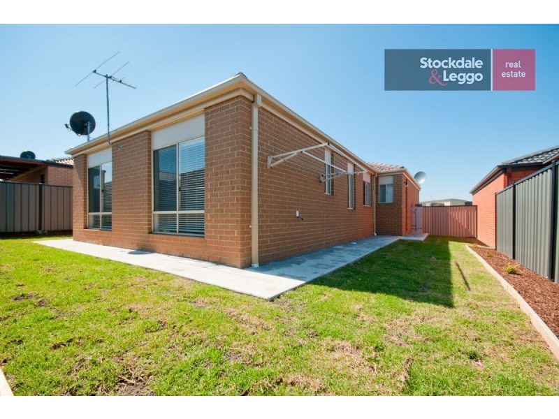 99 Cradle Mountain Drive, Craigieburn VIC 3064