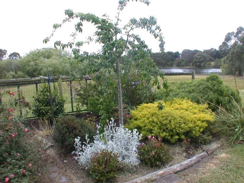 Cranbourne South VIC 3977