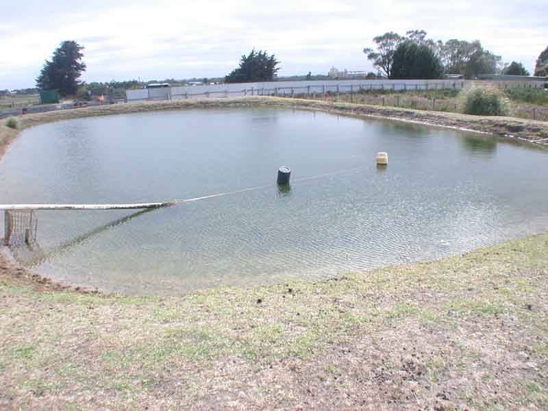 Clyde VIC 3978