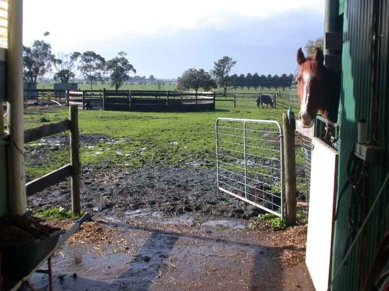 Cranbourne East VIC 3977