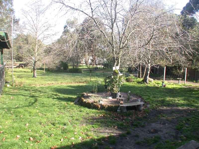 25 Collison Road , Cranbourne East VIC 3977