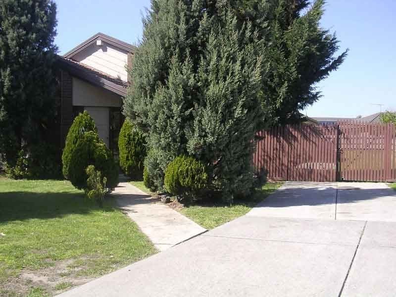 8  Balook Court, Cranbourne North VIC 3977