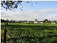 10 Volk Road , Cranbourne VIC 3977