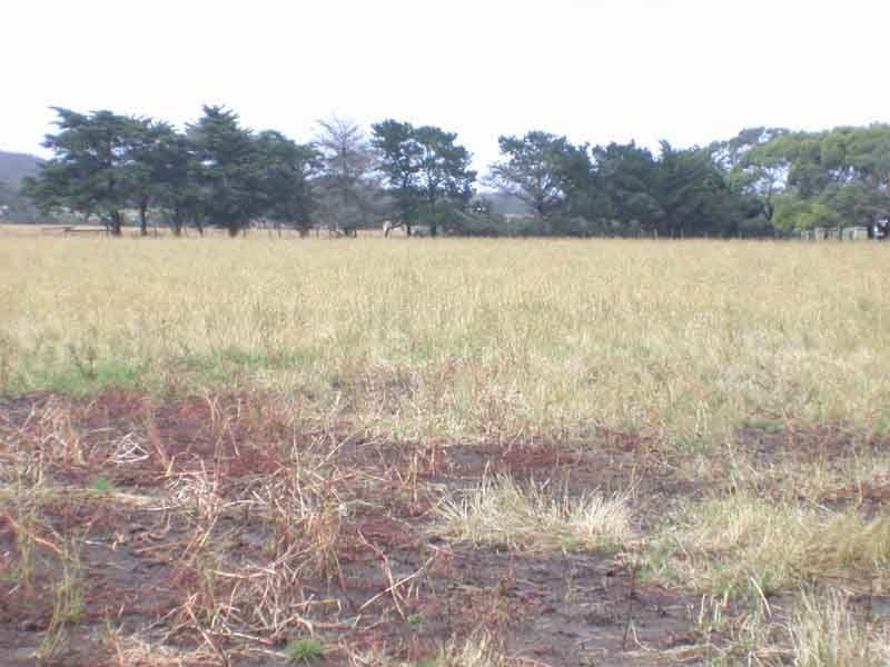 The Gurdies VIC 3984