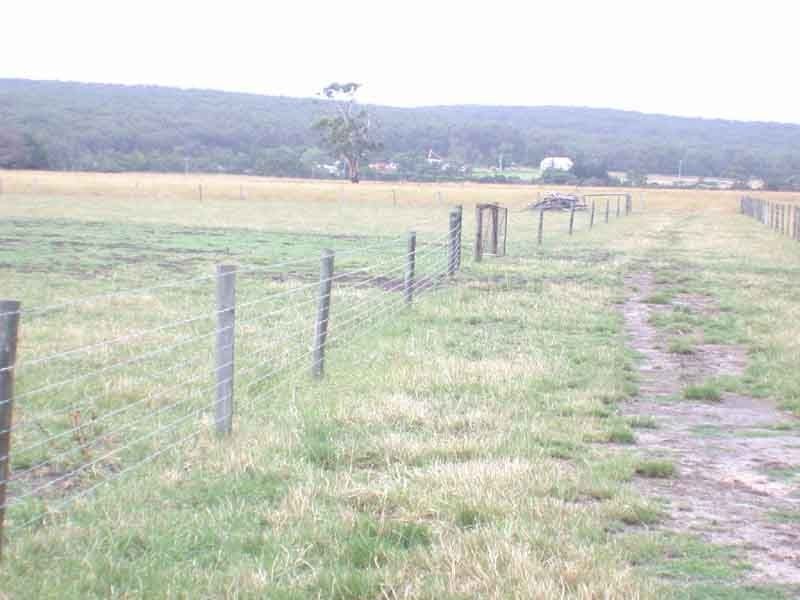 The Gurdies VIC 3984