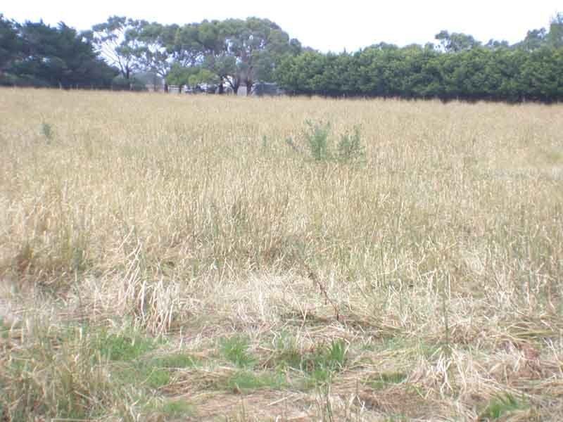 The Gurdies VIC 3984