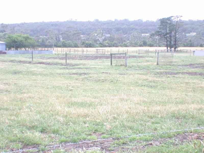 The Gurdies VIC 3984