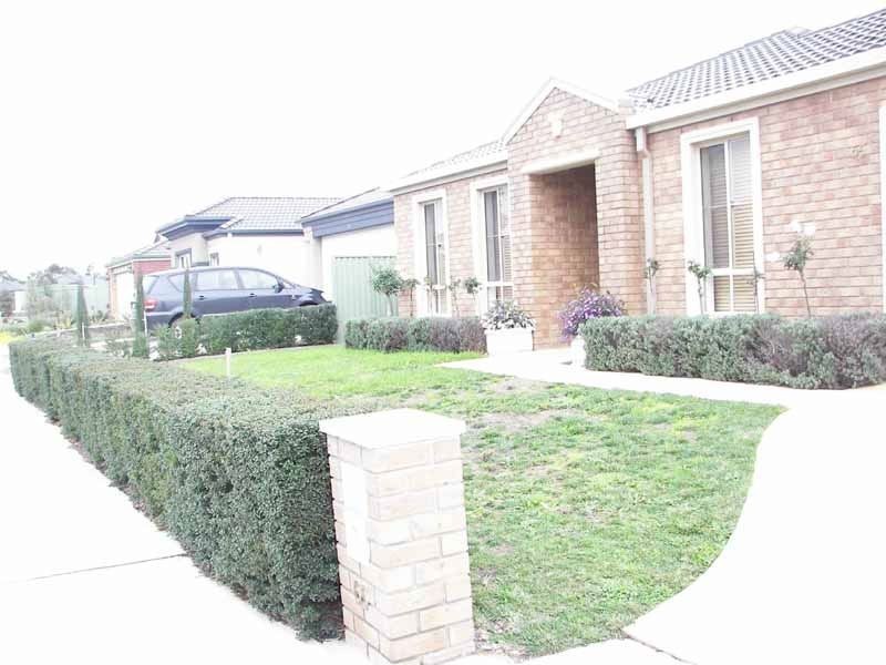65 Scotsdale Drive, Cranbourne East VIC 3977