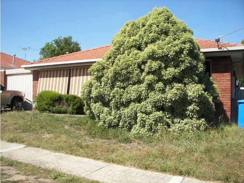 2/48 Courtenay Avenue, Cranbourne North VIC 3977