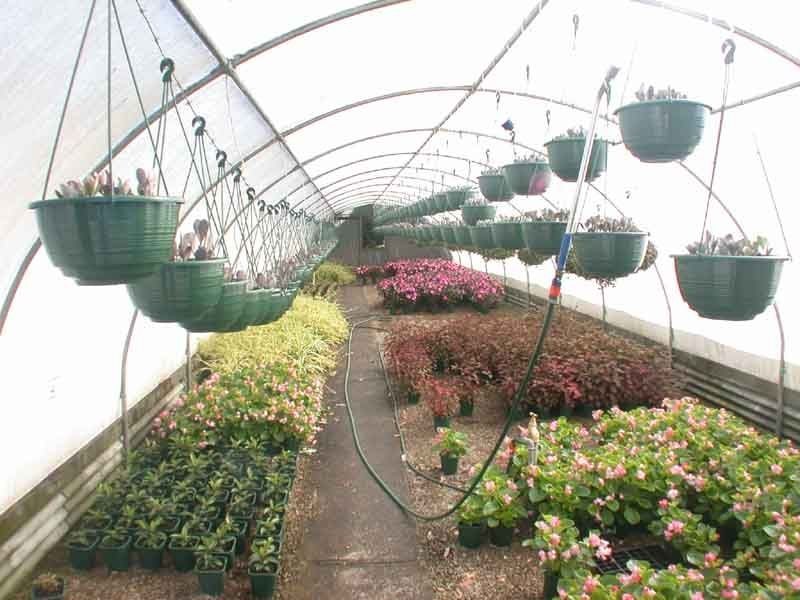 Cranbourne South VIC 3977