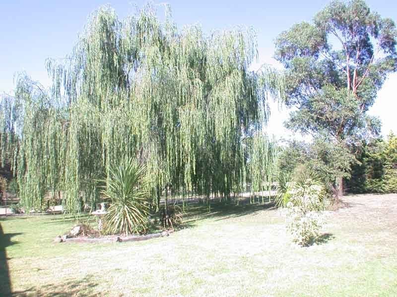 Cranbourne South VIC 3977