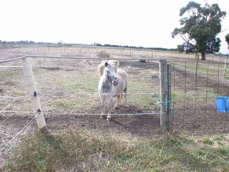 150 Tooradin Station Road, Tooradin VIC 3980
