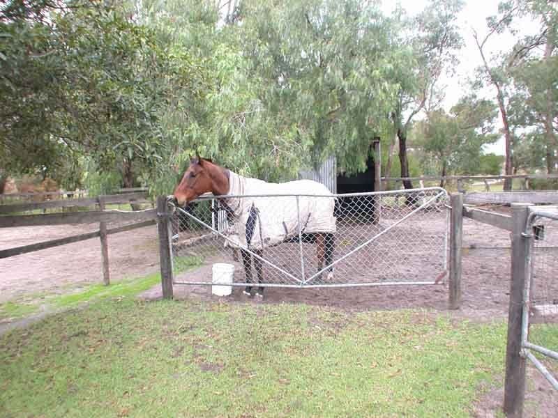 Devon Meadows VIC 3977