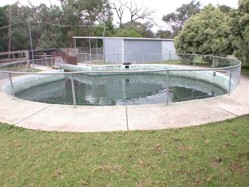 Devon Meadows VIC 3977