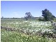 Cranbourne VIC 3977