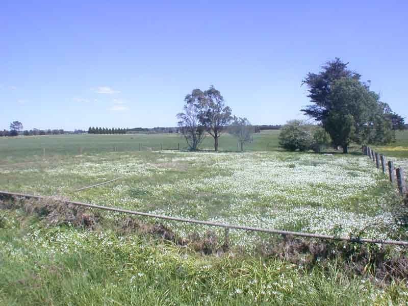 Cranbourne VIC 3977