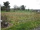 Cranbourne VIC 3977