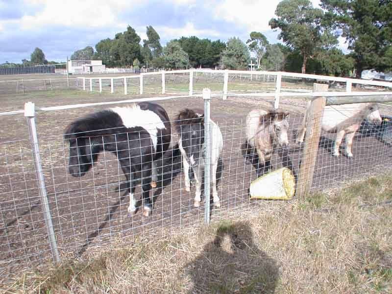 150 Tooradin Station Road, Tooradin VIC 3980