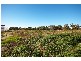 Cranbourne South VIC 3977