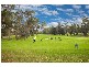 Cranbourne VIC 3977