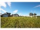 Tooradin VIC 3980