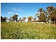 Tooradin VIC 3980
