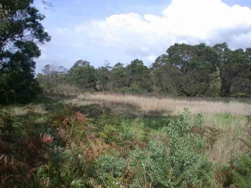 Devon Meadows VIC 3977