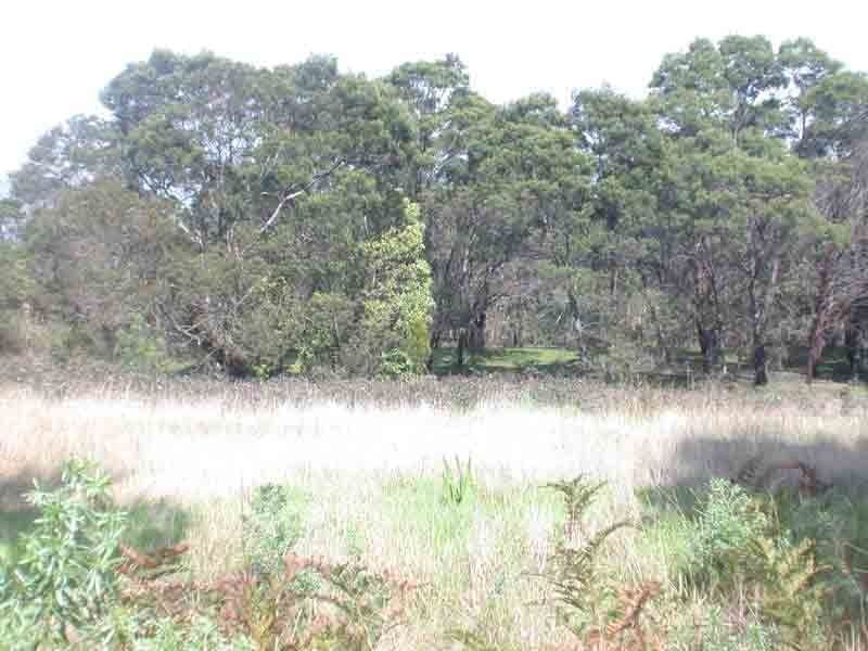 Devon Meadows VIC 3977