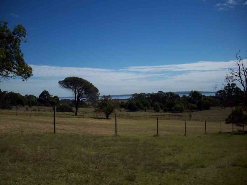 The Gurdies VIC 3984