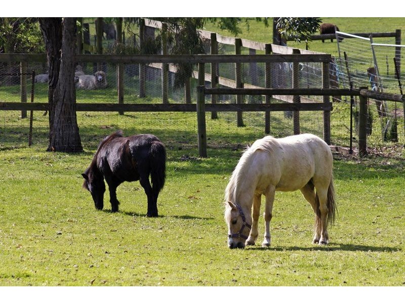 Cranbourne South VIC 3977