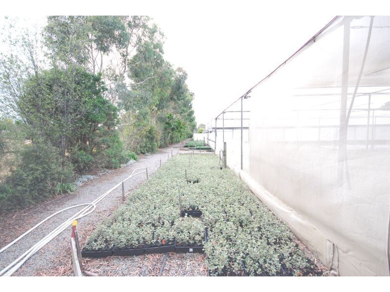 Cranbourne East VIC 3977