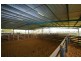 Koo Wee Rup VIC 3981