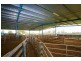 Koo Wee Rup VIC 3981