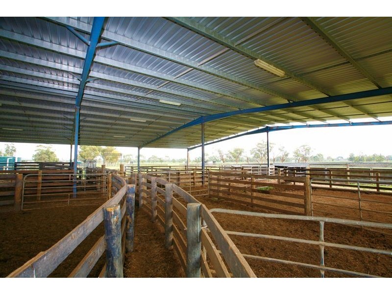 Koo Wee Rup VIC 3981