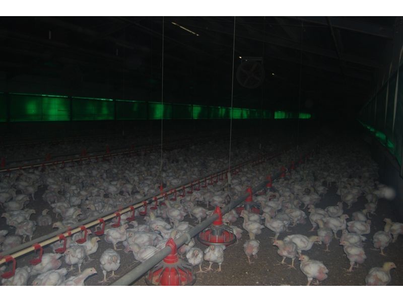 260 McCraws Road, Nar Nar Goon VIC 3812