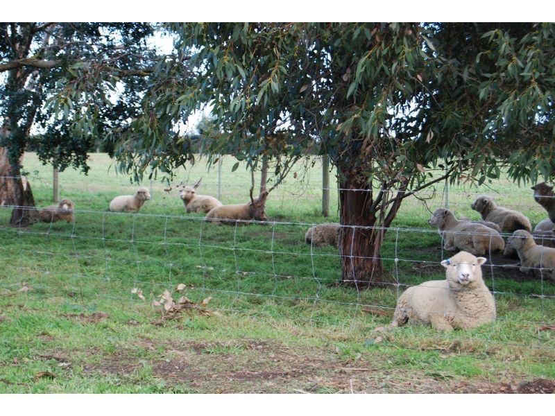 260 McCraws Road, Nar Nar Goon VIC 3812