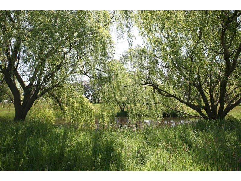 98 Browns Road, Cranbourne South VIC 3977