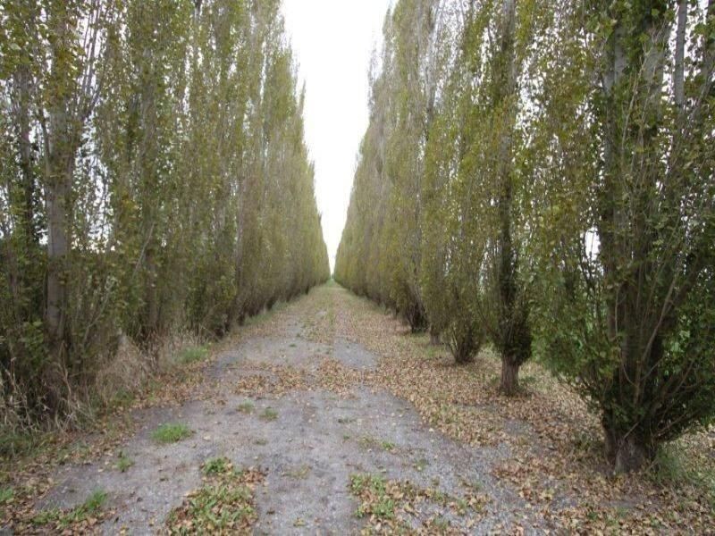 Koo Wee Rup VIC 3981