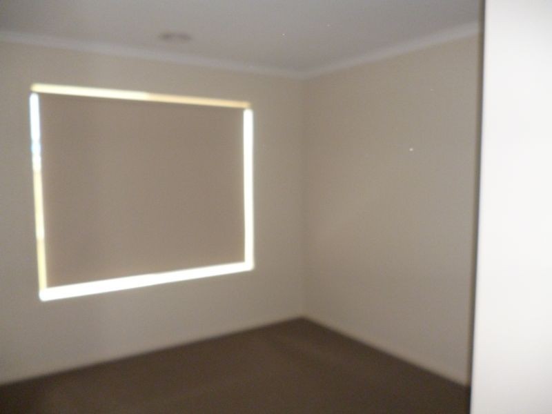 17 Rock Daisy Drive, Cranbourne West VIC 3977