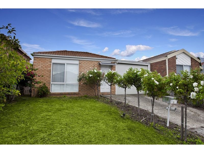 3 St Shenouda Court, Hallam VIC 3803