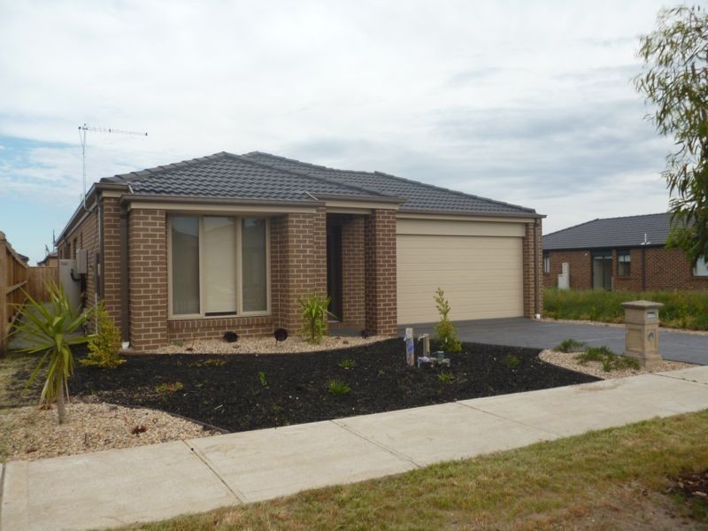 17 Rock Daisy Drive, Cranbourne West VIC 3977