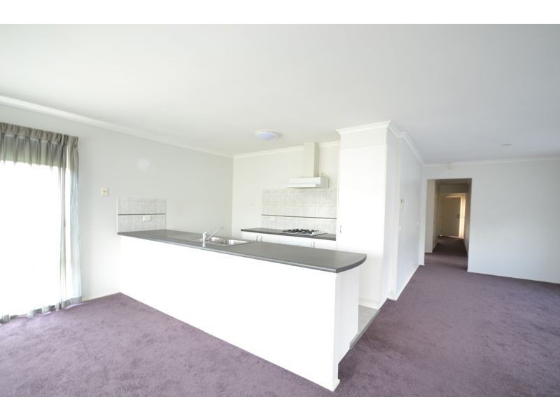 13 Menindee Terrace, Narre Warren VIC 3805