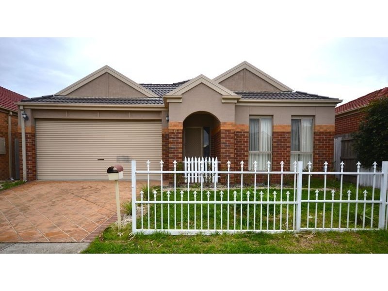 19 Ratcliffe Way, Lynbrook VIC 3975