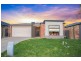 14 Charlock Drive, Cranbourne North VIC 3977