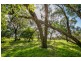 Lot 1 & 2 310 Warneet Road, Blind Bight VIC 3980