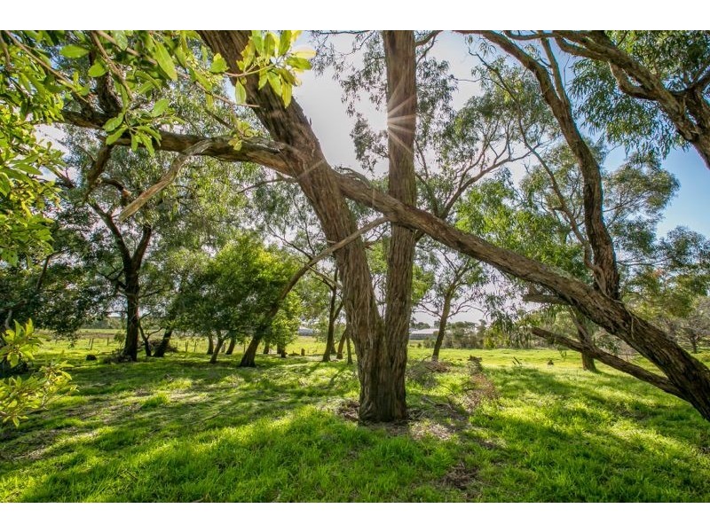 Lot 1 & 2 310 Warneet Road, Blind Bight VIC 3980