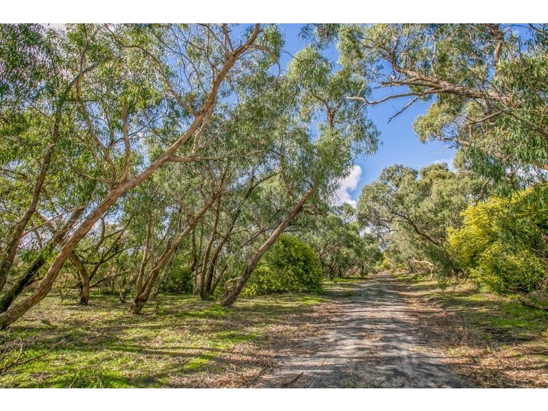 Lot 1 & 2 310 Warneet Road, Blind Bight VIC 3980
